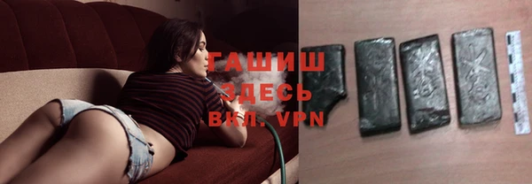 ешки Алексин