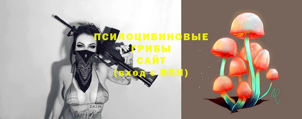ешки Алексин