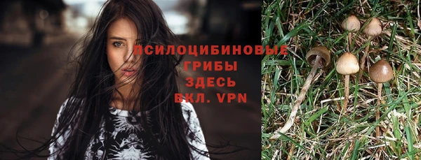 ешки Алексин